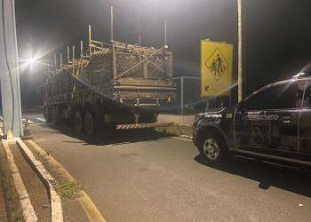 Polícia apreende carga ilegal de madeira em Inhuma com destino à Bahia